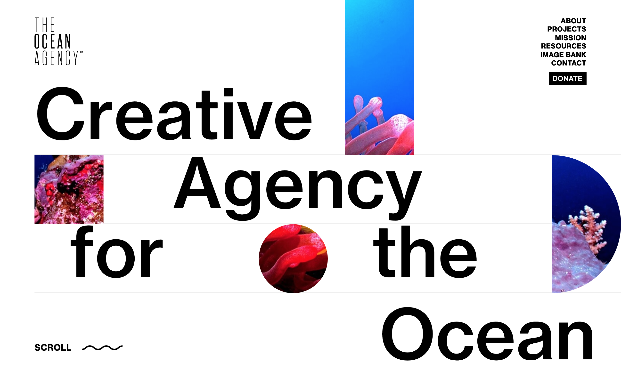 The Ocean Agency